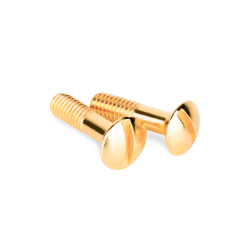 Винты для распределительной коробки/TV розетки 2 шт. золото ретро WL18-22-01 Винты для распределительной коробки/TV розетки 2 шт. золото ретро WL18-22-01