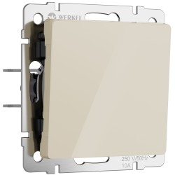 Выключатель одноклавишный проходной (айвори акрил) W1112043