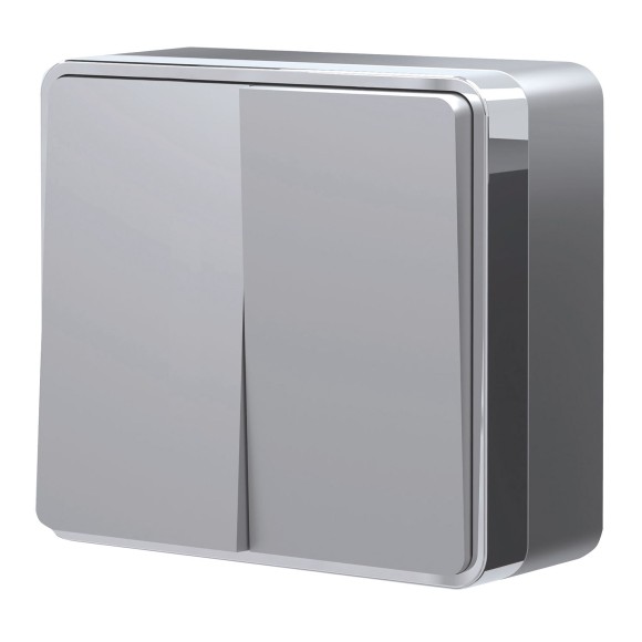 Выключатель двухклавишный Gallant серебряный W5020006