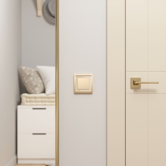 Выключатель одноклавишный проходной (шампань) W1112011 Выключатель одноклавишный проходной (шампань) W1112011