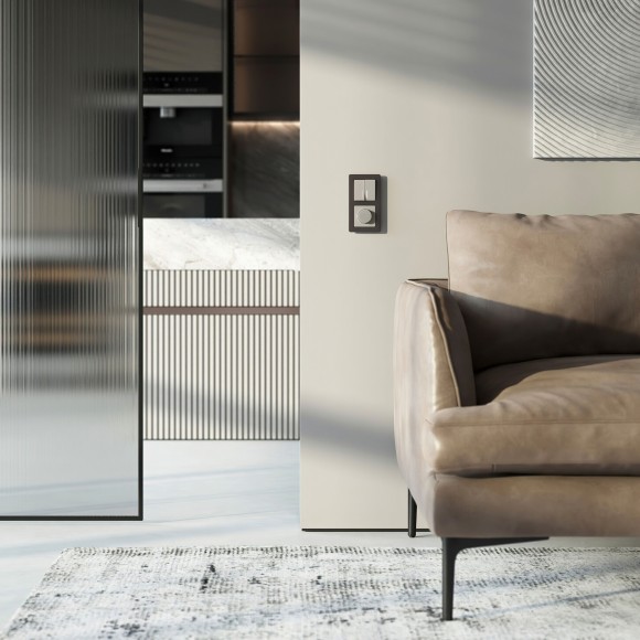 Диммер (дымчатый) W1242004