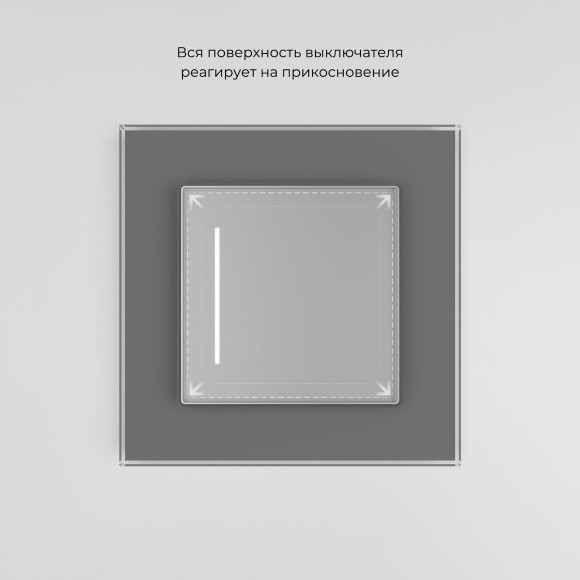 Умный сенсорный выключатель одноклавишный серебряный W4513006