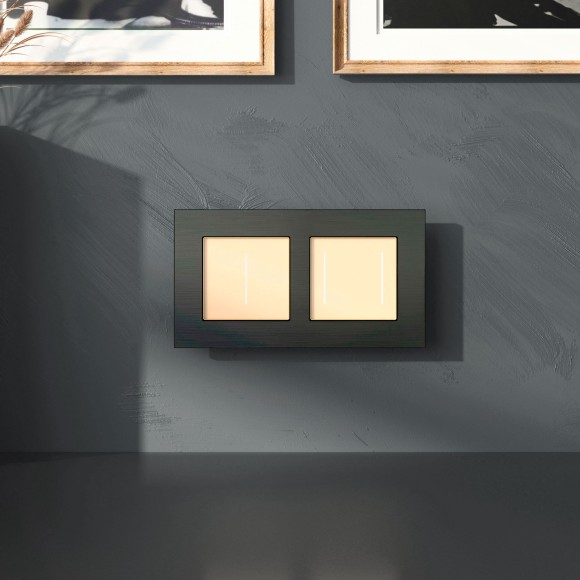 Рамка из металла на 2 поста АluMax черный алюминий W0023508