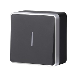 Выключатель одноклавишный с подсветкой Gallant черный с серебром W5010134 W5010134