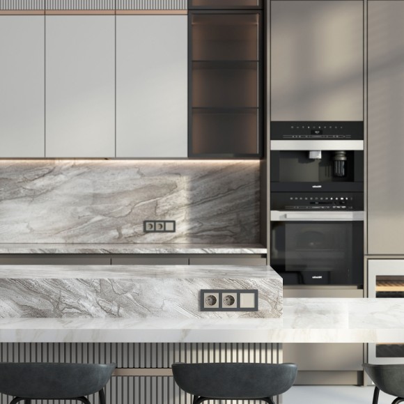 Розетка с заземлением (дымчатый) W1271004