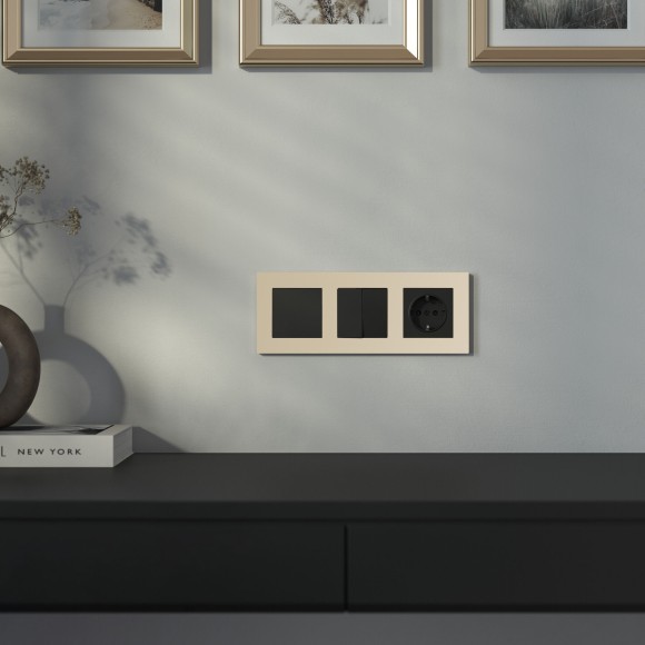 Розетка с заземлением (черный матовый) W1171008