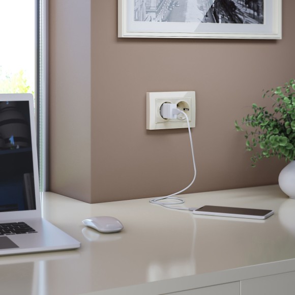 Розетка двойная с заземлением (слоновая кость) W1172003 Розетка двойная с заземлением (слоновая кость) W1172003