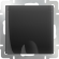 Розетка влагозащ. с зазем. с защит. крышкой и шторками  (черный матовый) WL08-SKGSC-01-IP44 Werkel