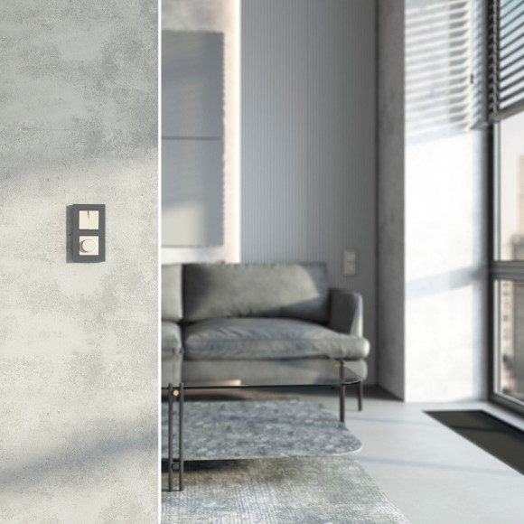 Диммер N (слоновая кость) W1142003