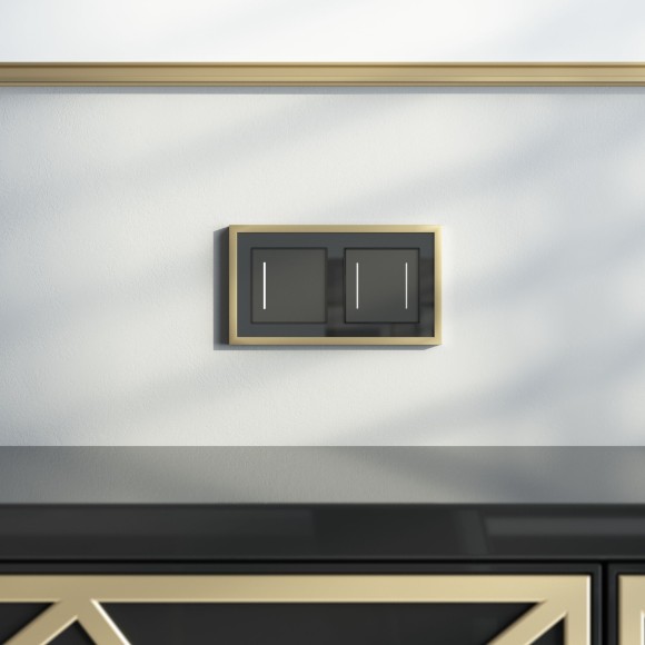 Рамка из металла на 2 поста Baguette черный/латунь W0022852