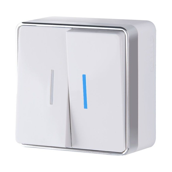 Выключатель двухклавишный с подсветкой Gallant белый W5020101