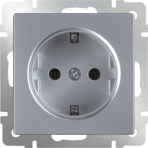 Розетка с заземлением  (серебряный) WL06-SKG-01-IP20 Werkel