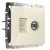 Розетка ТВ+Ethernet RJ-45 6 cat. (слоновая кость) W1181303