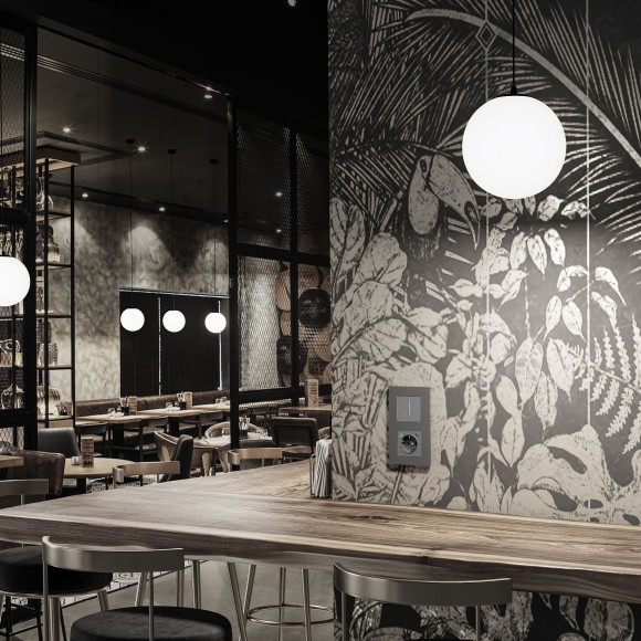 Умный сенсорный диммер серебряный W3443106 Умный сенсорный диммер серебряный W3443106