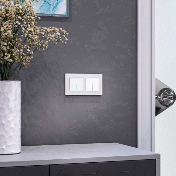 Рамка из стекла на 2 поста Favorit белый матовый W0021105