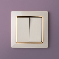 Слоновая кость/золото