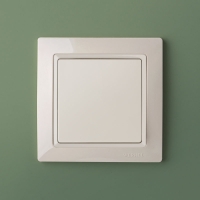 Слоновая кость