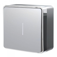 Серебряный